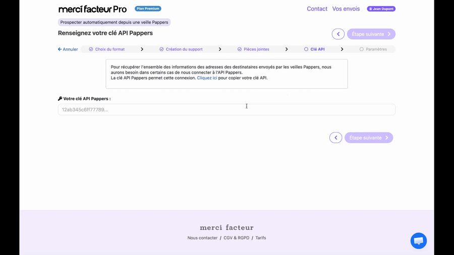 Page Renseignez votre clé API avec un texte explicatif, un lien Cliquez ici pour copier votre clé API, et un champ de saisie vide avec placeholder