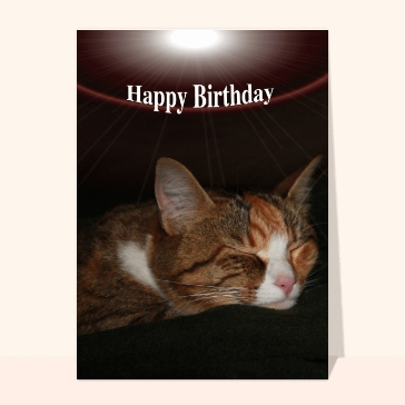 Douce nuit avec un chat pour un anniversaire