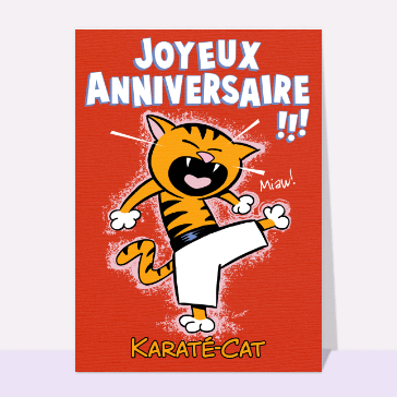 Karate-Cat souhaite un anniversaire explosif