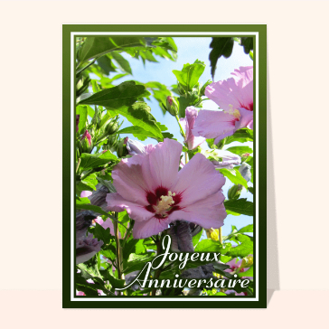 Anniversaire en fleurs vibrantes et douces