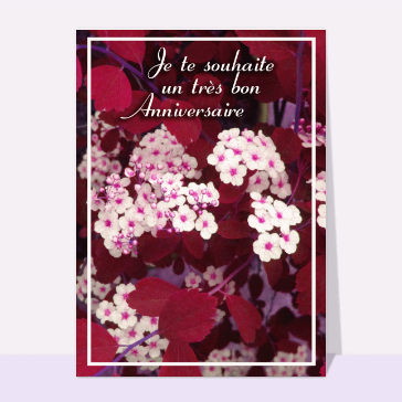 Anniversaire fleuri sous un ciel vibrant