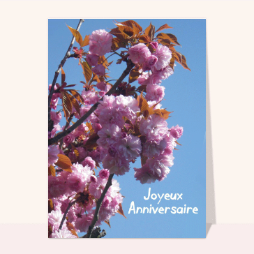 Fleurs roses enchanteresses pour un anniversaire