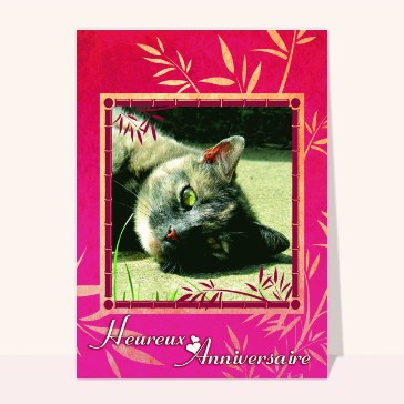 F&ecirc;te d'anniversaire avec un chat c&acirc;lin