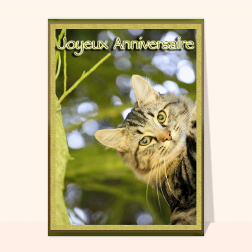 Regard per&ccedil;ant d'un chat pour un joyeux anniversaire