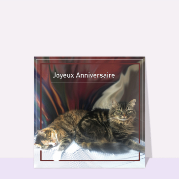 Chat tranquille pour un anniversaire joyeux
