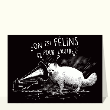 Un son d'amour f&eacute;lin pour toi