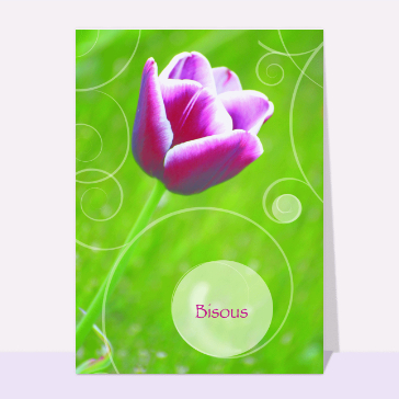 Tulipe color&eacute;e pour un doux bisou