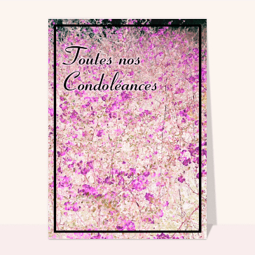 Fleurs pastel pour un doux r&eacute;confort
