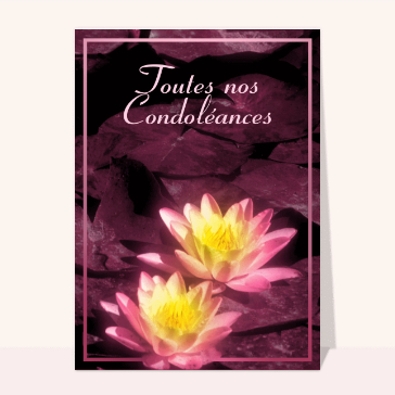 Fleurs de lotus et pens&eacute;es apais&eacute;es