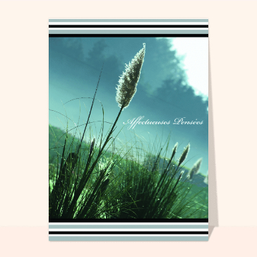 Hommage floral et pens&eacute;es apais&eacute;es