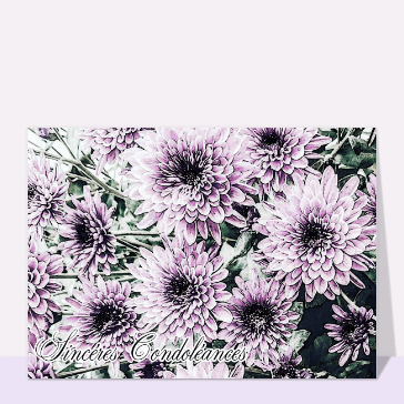 Fleurs violettes pour un hommage sinc&egrave;re
