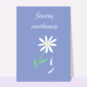 Fleurs blanches pour des pens&eacute;es sinc&egrave;res