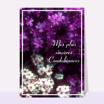 Fleurs rouges et violettes pour vos pens&eacute;es