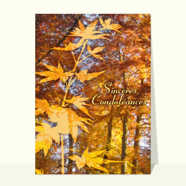 Souvenirs d'automne pour un tendre hommage
