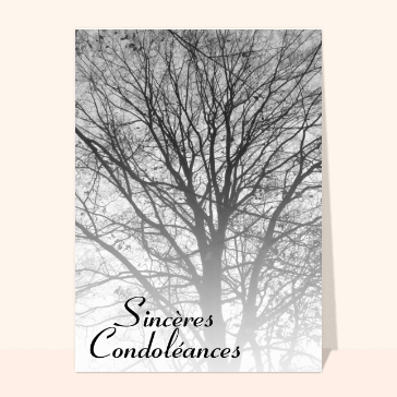 Arbre majestueux en m&eacute;moire et recueillement