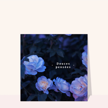 Douces pens&eacute;es avec fleurs apaisantes