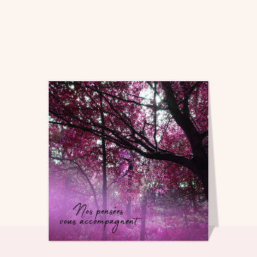 Pens&eacute;es sereines au c&oelig;ur des fleurs roses