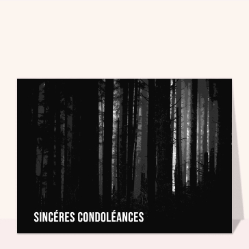 Silence des arbres pour des pens&eacute;es sereines