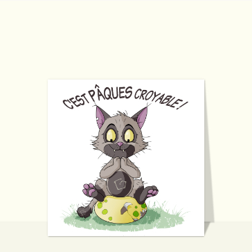 C'est P&acirc;ques, un chat plein de surprises!