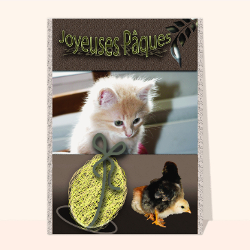 P&acirc;ques avec un chaton et un poussin doux