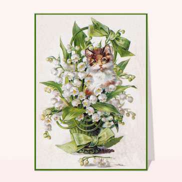 Chaton dans un bouquet de muguet fleuri