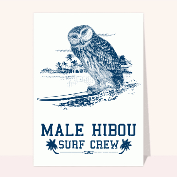 Hibou surfeur : le fun &agrave; la plage