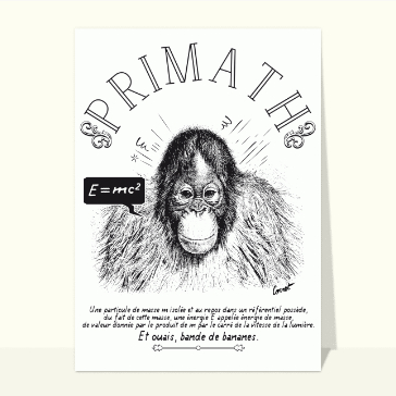 Quand les singes se prennent au s&eacute;rieux