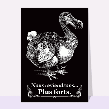 Le dodo revient, plus dr&ocirc;le que jamais !