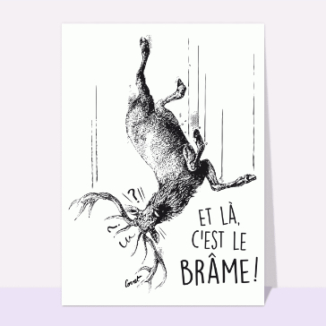 Quand les cerfs se l&acirc;chent en br&acirc;me