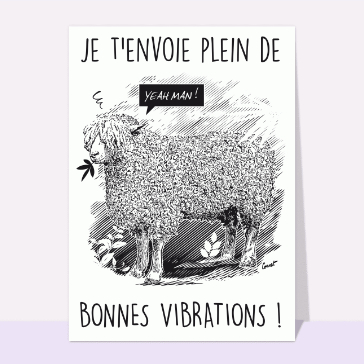 Mouton rasta envoie des good vibes