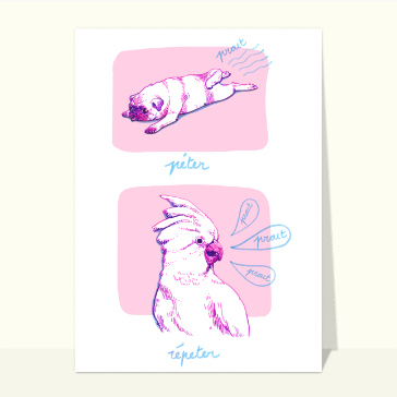 Un pet qui fait rire les oiseaux