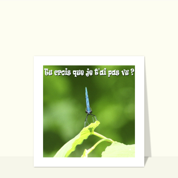 Insecte espi&egrave;gle : tu m'as bien rep&eacute;r&eacute; !