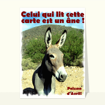 Celui qui lit est un &acirc;ne farceur