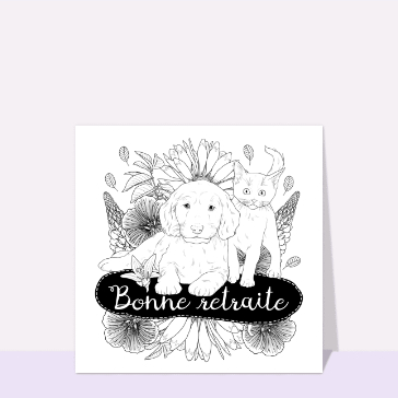 Animaux c&acirc;lins pour une douce retraite