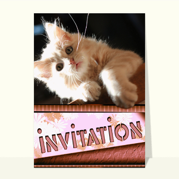 Invitation festive avec un chat espi&egrave;gle