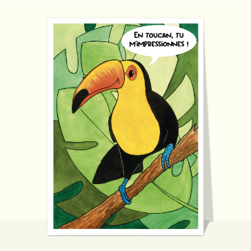 En toucan, tu m'impressionnes souvent !