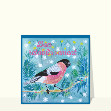 Oiseau color&eacute; et &eacute;toiles pour gu&eacute;rir