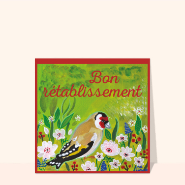 Oiseau color&eacute; pour un bon r&eacute;tablissement