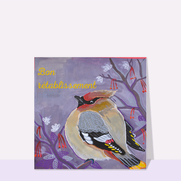 Oiseau tendre pour un prompt r&eacute;tablissement