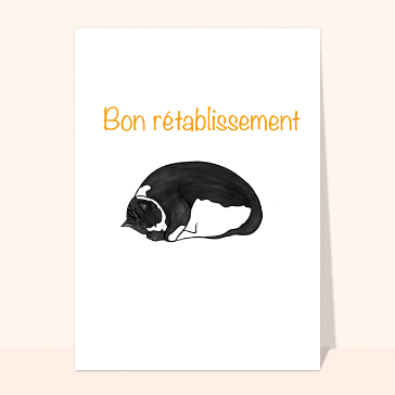 Chats c&acirc;lins pour un doux r&eacute;tablissement