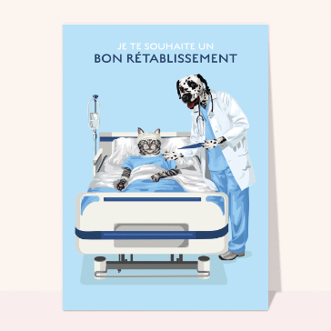 Bon r&eacute;tablissement avec un m&eacute;decin animal