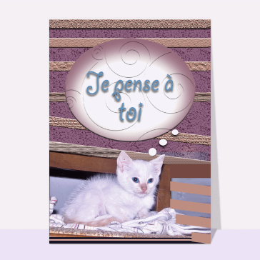 Un doux coucou de minou affectueux
