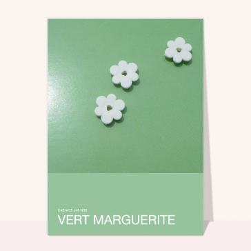 Un coucou floral sur fond vert pastel