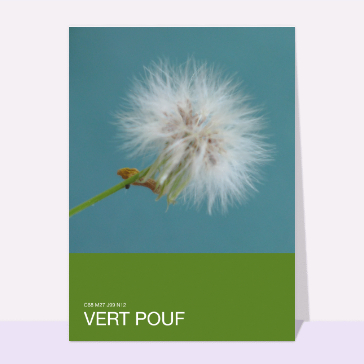 Bonjour lumineux avec une fleur d&eacute;licate