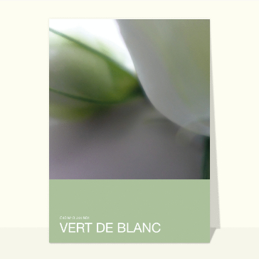F&eacute;erie de verts pour un doux bonjour