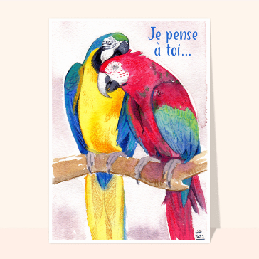 Perroquets color&eacute;s pour un chaleureux bonjour