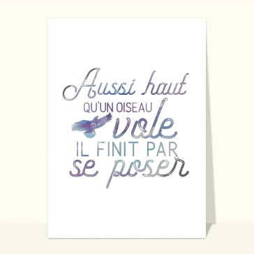 Volez haut : un message inspirant sur la vie