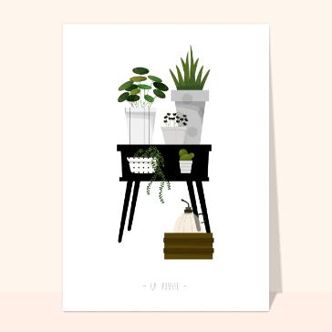 Plantes verdoyantes pour un int&eacute;rieur apaisant