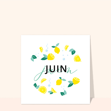 Citrons rafra&icirc;chissants pour un mois de juin