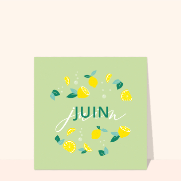 F&ecirc;te des citrons et douceur estivale